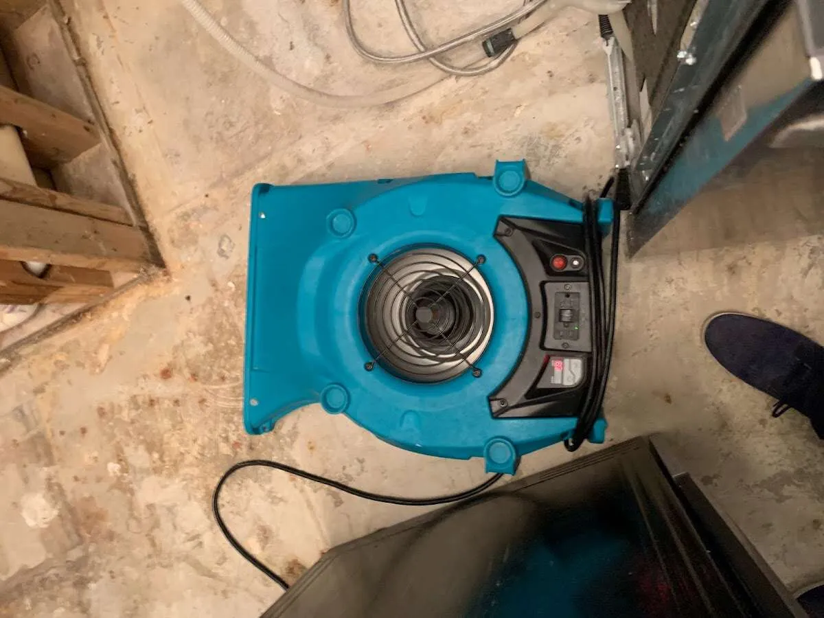 Air mover drying equipment for Mold Remediation & Removal in East Bridgewater
